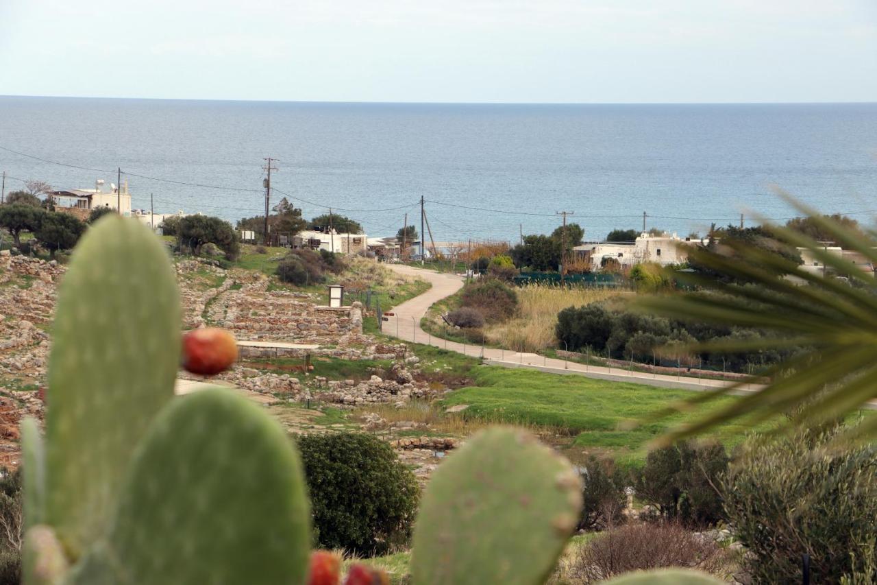 Little Blue Villa Zakros Luaran gambar